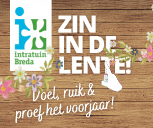 video-bestand